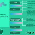 Виды сложных предложений